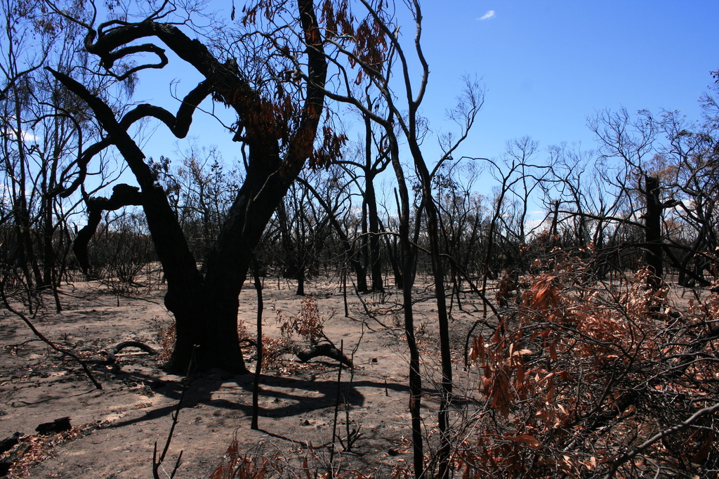 after the fire by cruiser