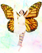 26th Feb 2014 - She emerged a butterfly... 