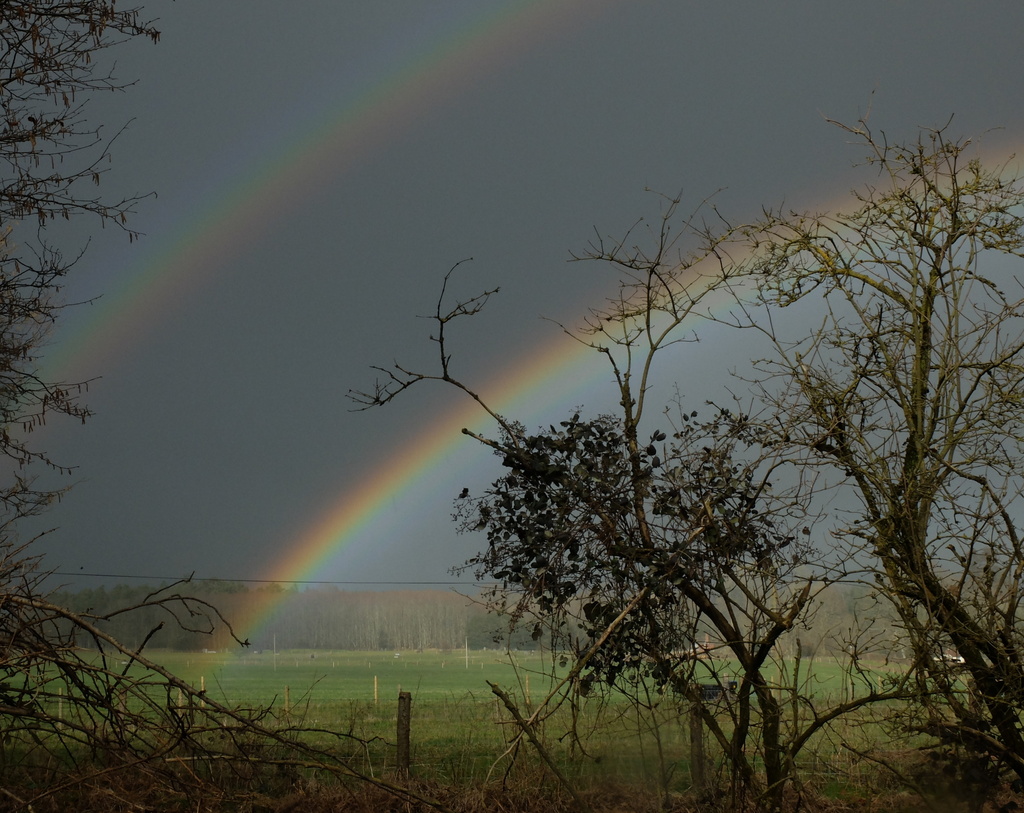 rainbow weather by quietpurplehaze