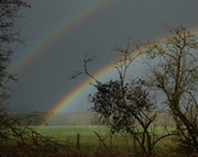 28th Feb 2014 - rainbow weather