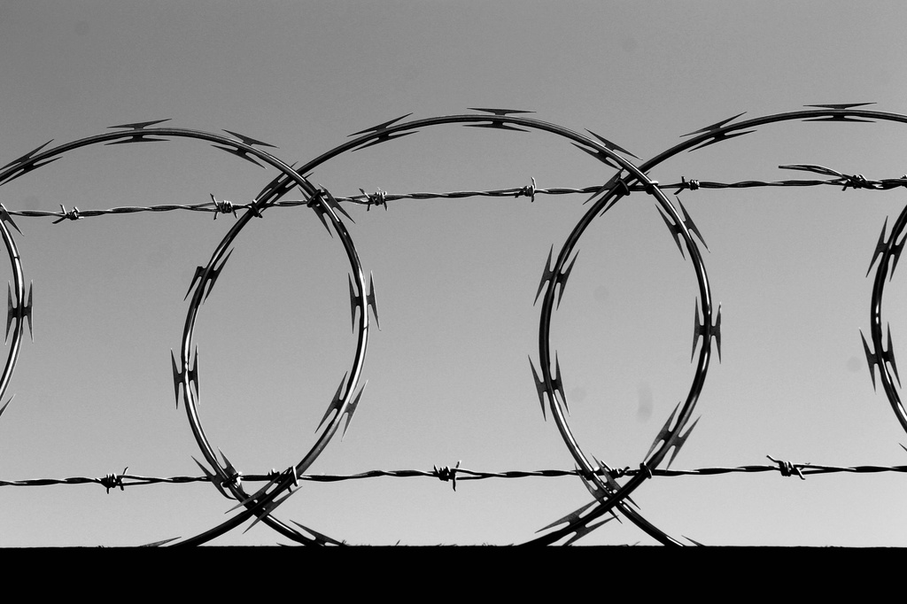 Barbed wire by judyc57