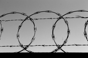 22nd Feb 2014 - Barbed wire