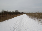 28th Feb 2014 - Snowy Trail
