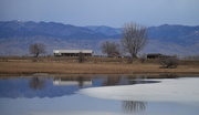 28th Feb 2014 - Colorado Reflection