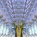 Kaleidoscope view by angelar