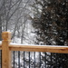 View of Winter by genealogygenie