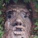 The Green Man by pcoulson