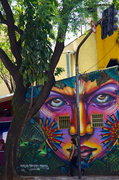 19th Feb 2014 - Brasilian Graffiti