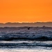 Seagulls Playing In the Sunset Surf  by jgpittenger
