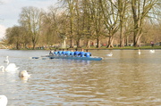 1st Mar 2014 - Rowers on Bedford River
