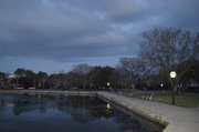28th Feb 2014 - Colonial Lake, Charleston, SC