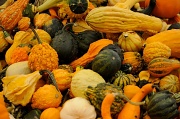 26th Sep 2010 - Decorative gourds and winter squash