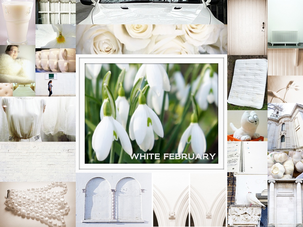 White February by boxplayer