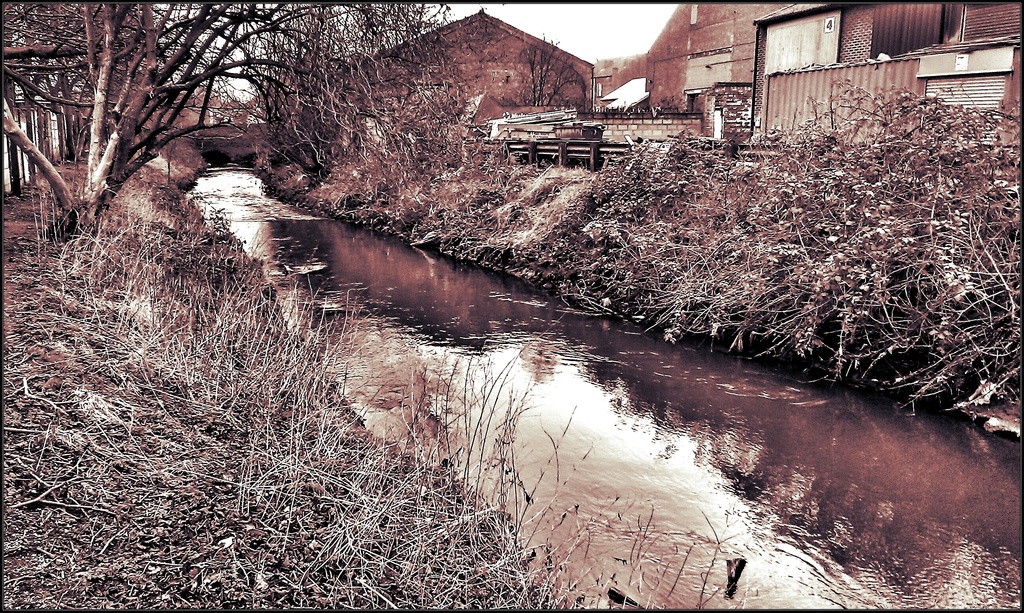 The River Leen Basford by phil_howcroft