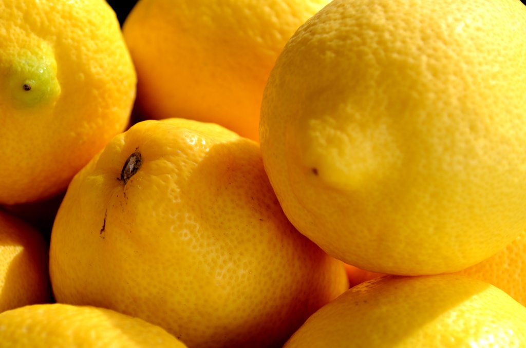 Lemons by mariaostrowski