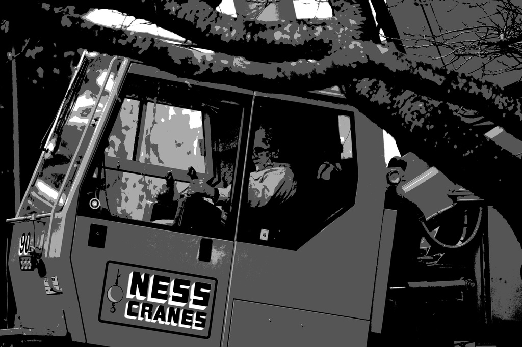 Ness Cranes for bw bookclub by nanderson