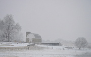 1st Mar 2014 - Winter Farm Scene