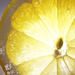 Lemon Sunshine by herussell