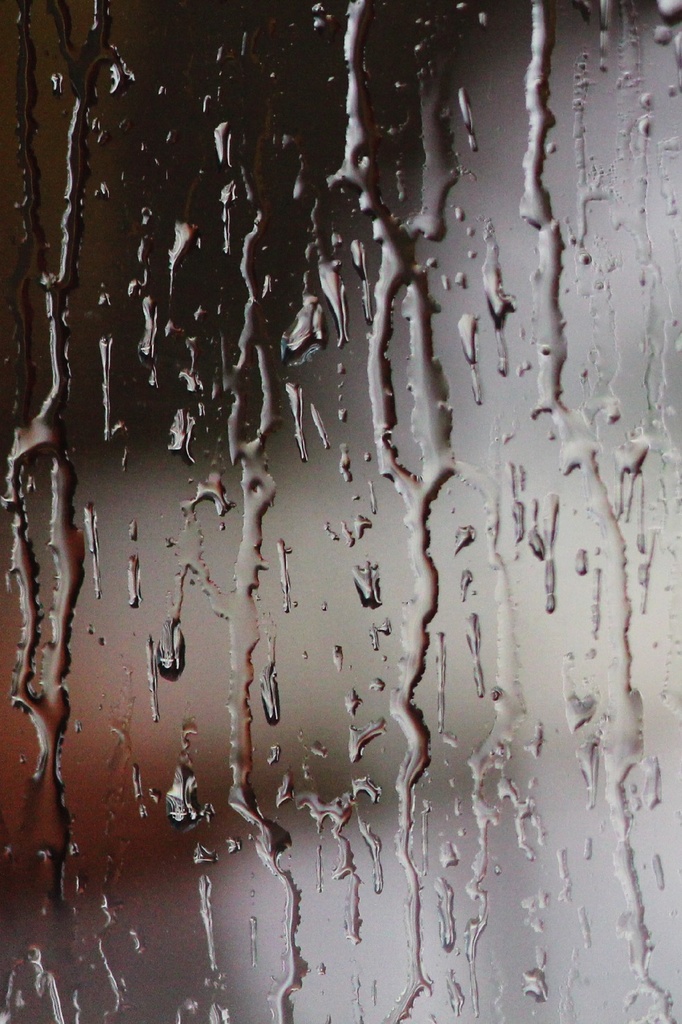 Wet window by judithg