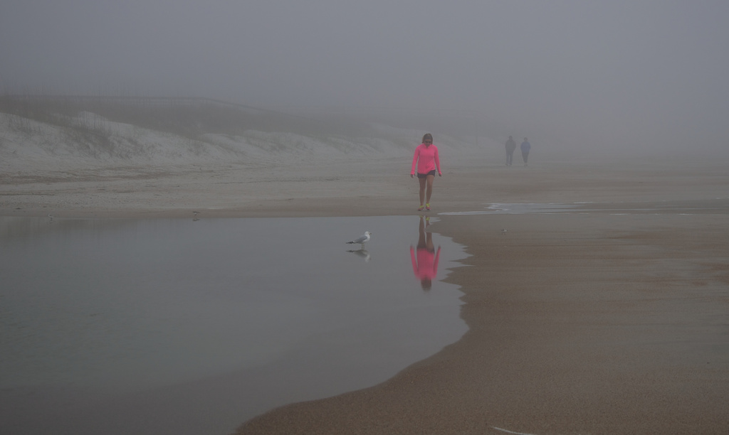Out of the Fog Came a Runner in Pink by taffy