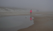 2nd Mar 2014 - Out of the Fog Came a Runner in Pink