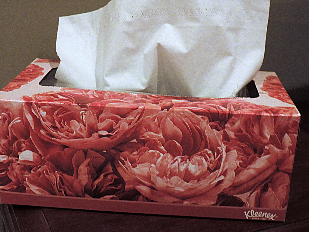 My favorite box of tissues! by homeschoolmom