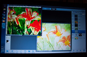 3rd Mar 2014 - Adjusting the pictures