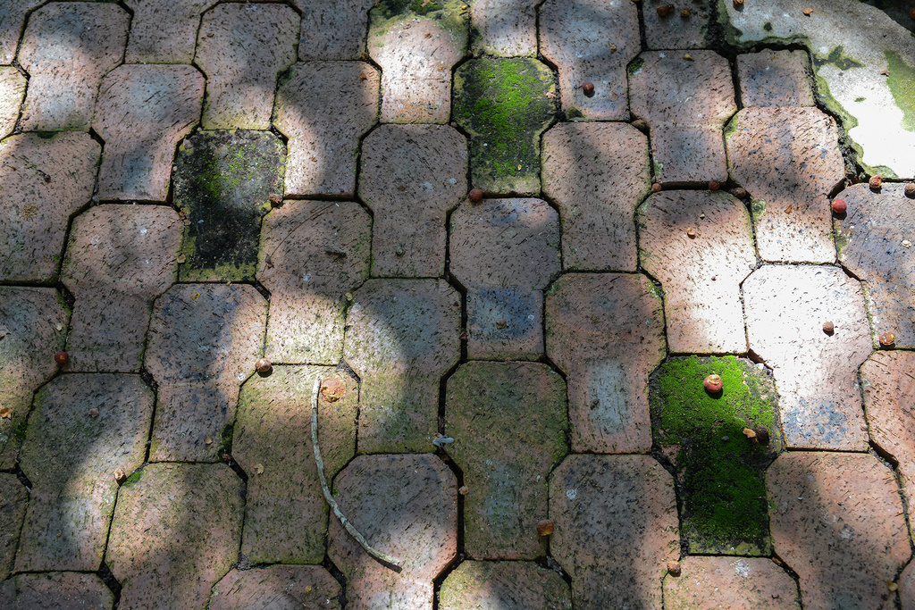 Mossy bricks by jeneurell