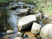 25th Feb 2014 - Dartmoor Stream