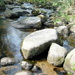 Dartmoor Stream by sjc88