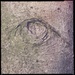Old man's eye by mastermek