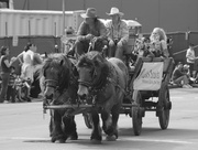 4th Mar 2014 - Horses and Cart