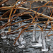Icicles Dangling in the Creek by milaniet