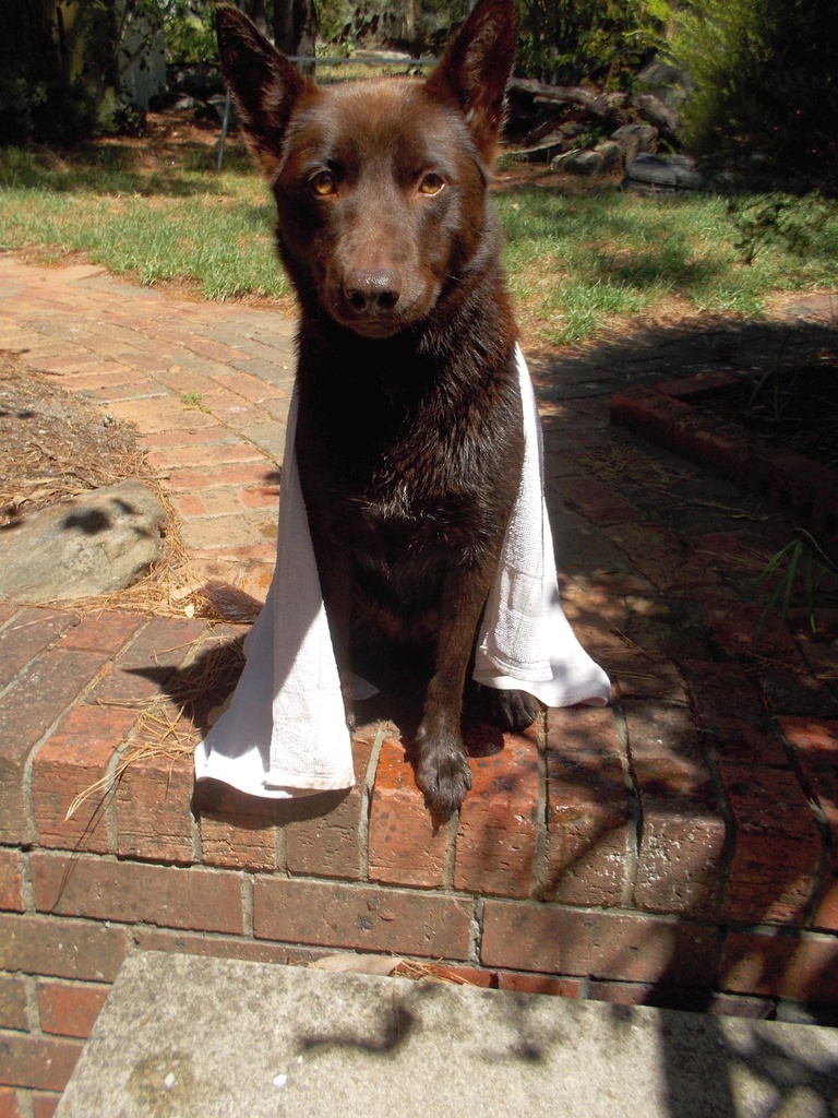 Drying off after a bath by cruiser