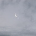 Pink Tinged Crescent Moon. by happysnaps
