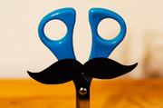 5th Mar 2014 - Mustache on scissors