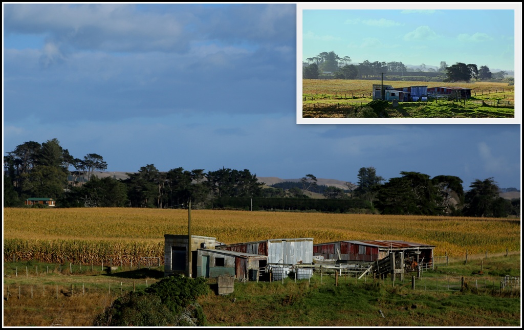 Where's the maize gone?  by dide