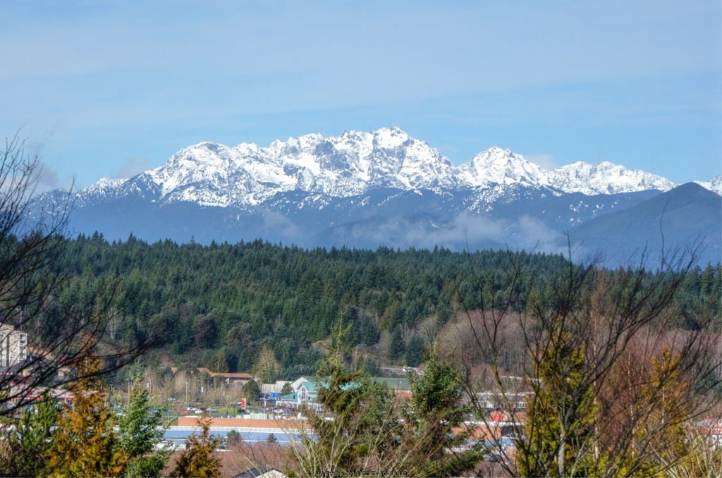 Olympic Mountains by byrdlip