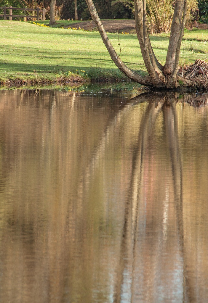 Reflections in early spring by dulciknit