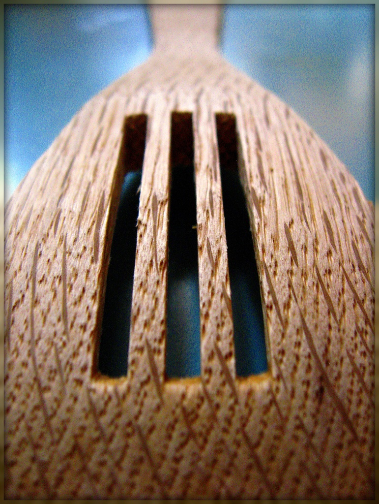 Wooden Spoon by olivetreeann