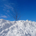 Day 273 Snow Tree Sky by rminer