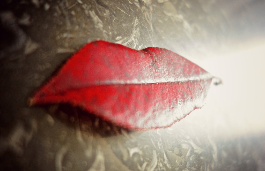 The mouth leaf. by cocobella