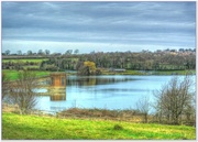 7th Mar 2014 - Pitsford Reservoir