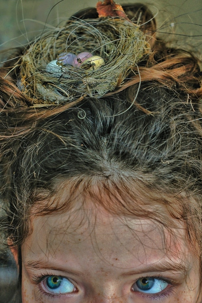 Hair Like a Bird's Nest by jesperani