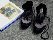 8th Mar 2014 - Study Van Gogh's "A Pair of Shoes"