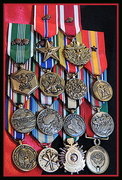 7th Mar 2014 - Macro mini-medals!
