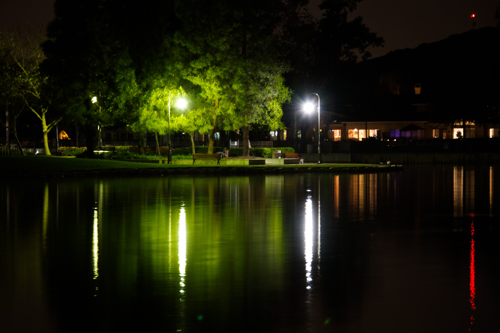 Evening Tree Reflection by stray_shooter