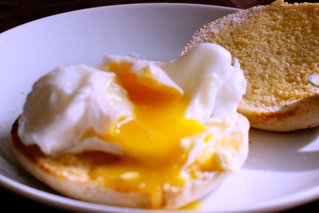 Poached egg on muffin by bizziebeeme
