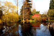 8th Mar 2014 - Cambridge botanic gardens