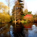 Cambridge botanic gardens by busylady